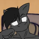 secretpony