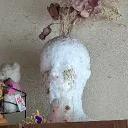 colorman