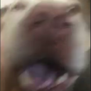 avatar Darthricky109