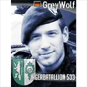 six.jgbtl533greywolf