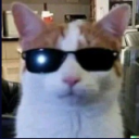 avatar 🇯 🇺 🇸 🇹 🇮 🇨 🇪