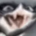gutsngorey