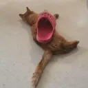 fryontheside