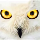 screwyparasite