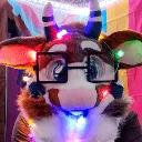 baileythebull