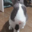 mateuscarioca.
