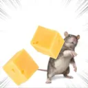 thedabbingtaco