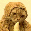 epic_monkey