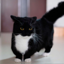 avatar элитные викинги