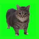 osc3b