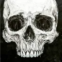 skull240