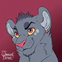 bokkicat