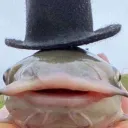 zeekomode