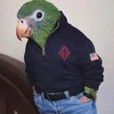 starboyrtx