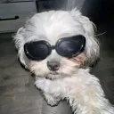 zxeroo01