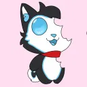 dynohusky