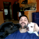 skoges#8329's avatar