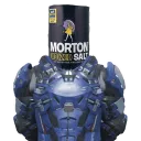 superstormsalty