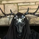 lordstag
