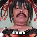suiji01z