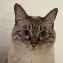 tanukana