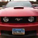 greywes