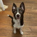 Discord Avatar