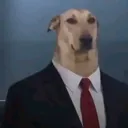 amvmzg