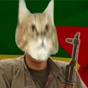 dr.marmot