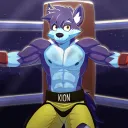 kion_95
