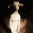 numberchalk