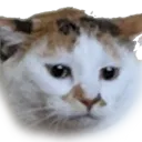 itsbosstime