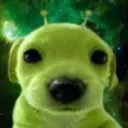 wachotortu