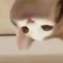 dynmie