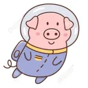 space_pig