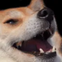 mrhachi
