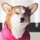 inpwbusina
