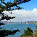 avatar 𝑚𝑎𝑟𝑐𝑢𝑠