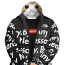 theporghub