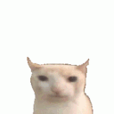 peesoap