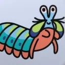 mantis.shrimp.rachel