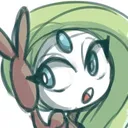 meloeatta