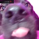 timbit7777