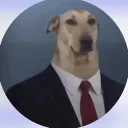 jasdlt