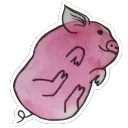 elporco