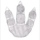 allosaurus.pawprint