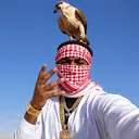 gagodu7