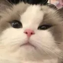 chapraew