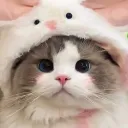 chapraew