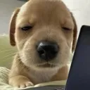 im.type